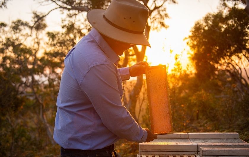 Australia At Its Purest Capilano 100 Pure Australian Honey